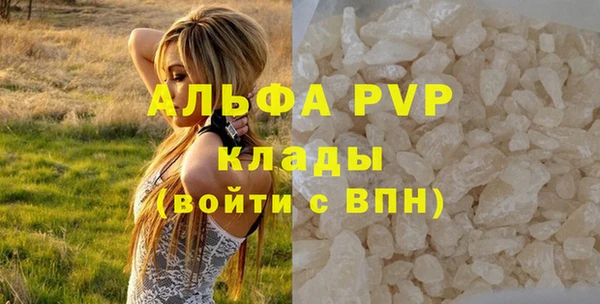 гидра Липки