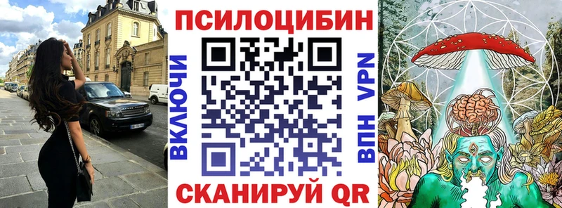 omg ТОР  Сенгилей  Псилоцибиновые грибы Magic Shrooms 