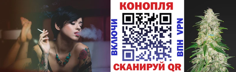 Конопля сатива  kraken как войти  Сенгилей  где продают  